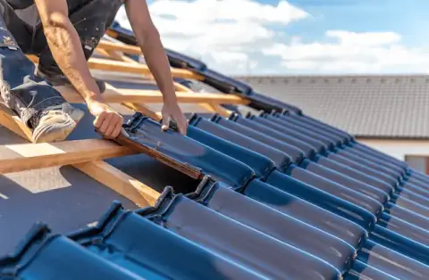 Couverture - Salvizinet